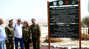 Olive Grove Sign