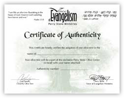 certificatestoneweb2