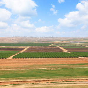 The History of the Negev Desert