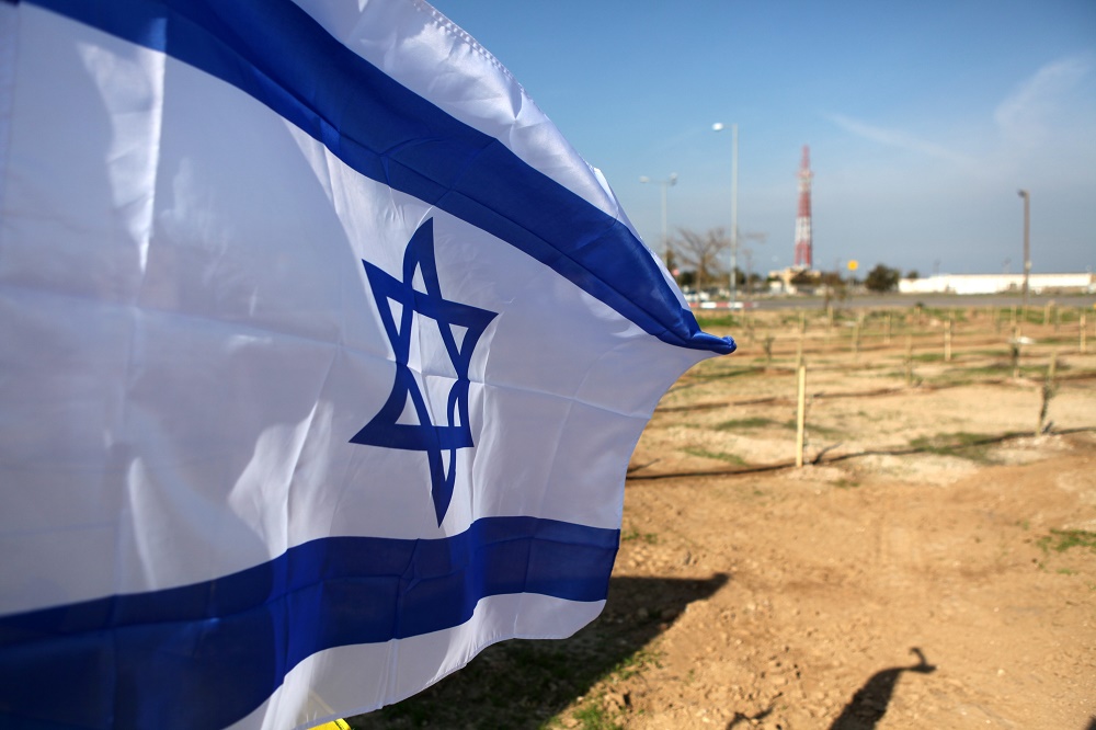 israel-flag-peace-grove