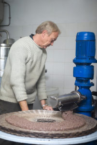 Factory worker prepared olive paste on fibre disk