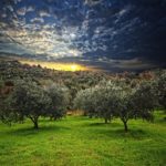 Genesis 2:8-15 speaks about God’s creation of a beautiful garden that not only met the needs of Adam and Eve
