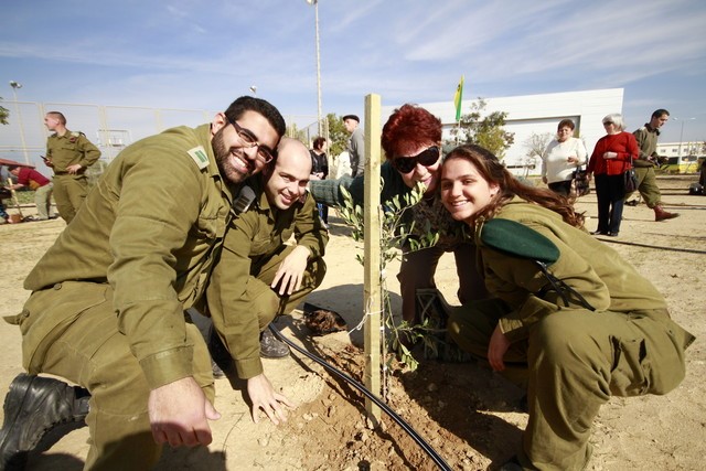 Negev Desert