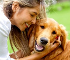 Is Olive Oil Good For Dogs?