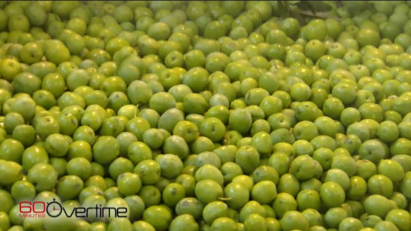 60 minutes olive oil mafia
