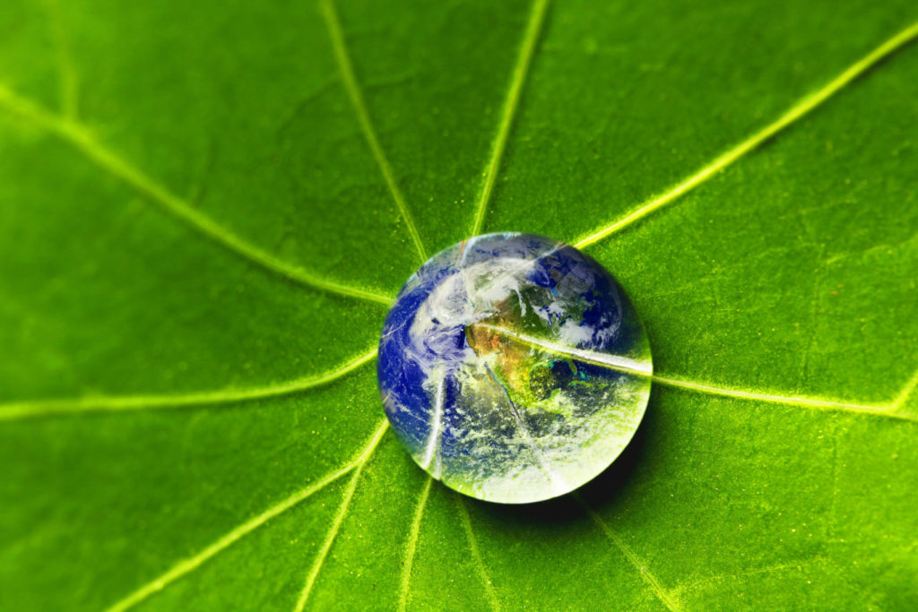 Leaf with water droplet with image of earth inside