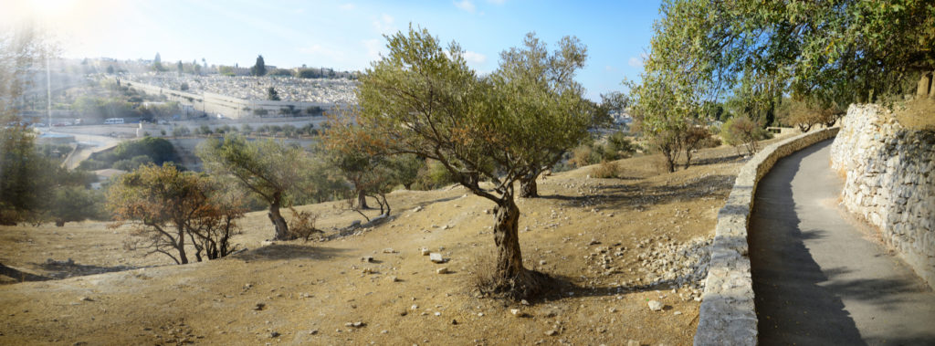 The ancestor of Israel is an important part of biblical history
