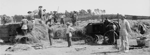 What Were the First Major Businesses in Israel?