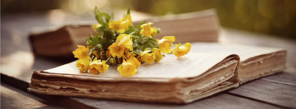 Flowers resting on the BIble