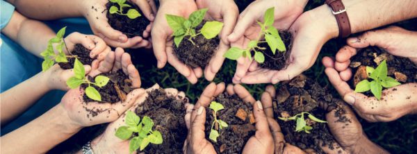 Why Did God Make Us Stewards for His Land?
