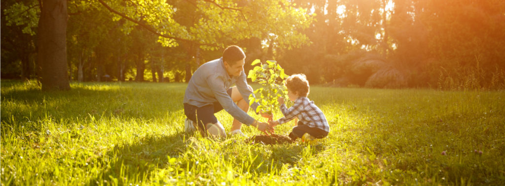 Dad showing child how trees help our environment