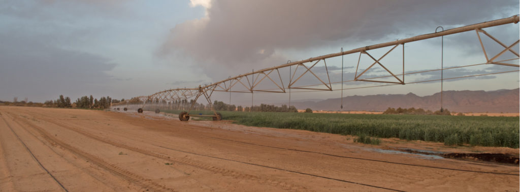 Water distribution for plants in the Negev