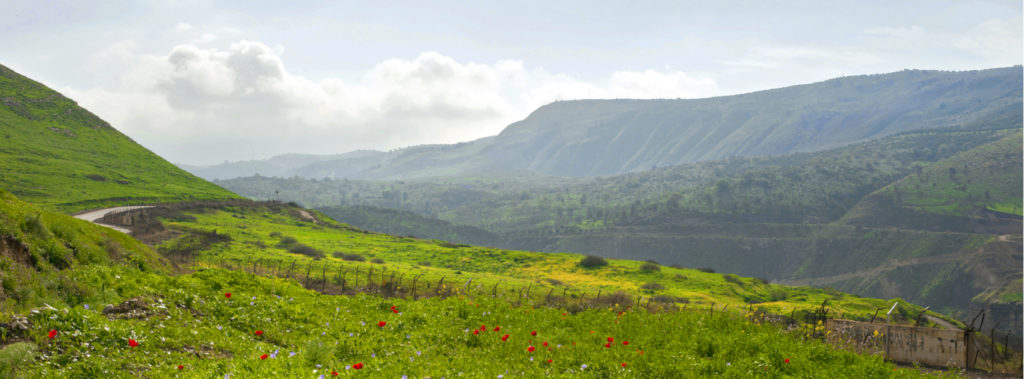 The Land Covenant speaks of Israel's restoration