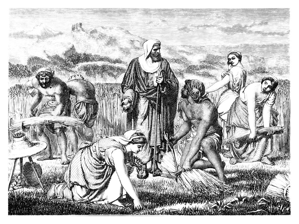 A group of men and women working in the fields during harvest, depicting part of the story of Ruth.