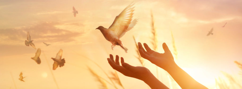 Woman raising hands and doves flying at sunset, symbolizing the peace of God.