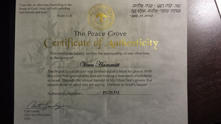 Vern Hammitt - Certificate