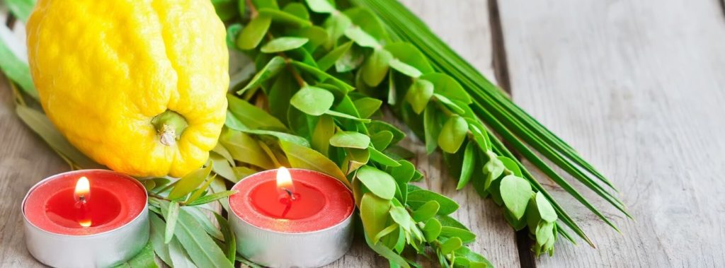 Symbols of Sukkot, including etrog and lulav, hadass, and aravah branches.