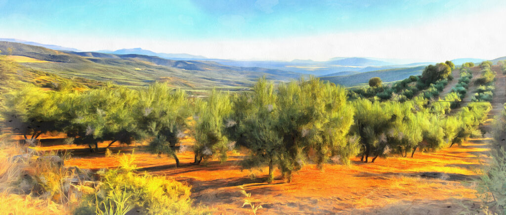 Colorful painting of an old olive tree grove in Spain.