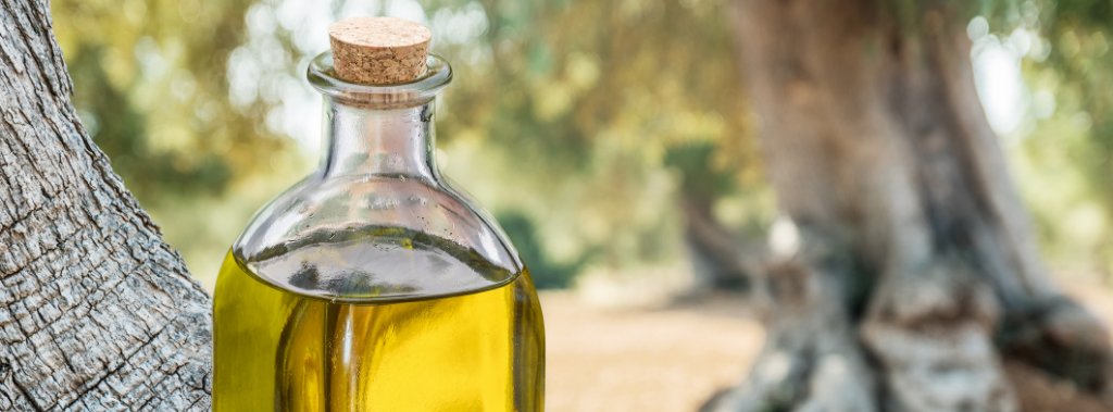 bottle of olive oil in an olive tree